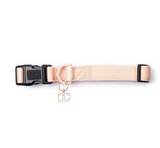 Dog Collar With Charm - Embroidered Rockstar