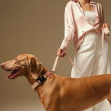 Dog Collar With Charm - Blush