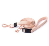 Secure-In-Place Dog Leash - Steel