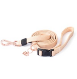 Secure-In-Place Dog Leash - Blush