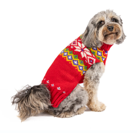 Jolly Red Dog Sweater