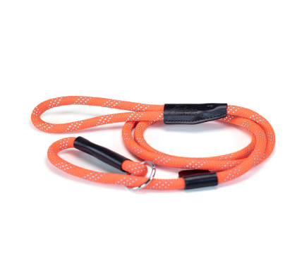 Reflective Rope Slip Leash – Orange