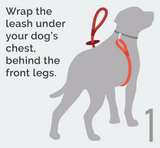 Cotton Rope Combination Harness / Leash in Grey – Easy as 1-2-3!