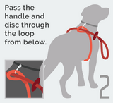 Cotton Rope Combination Harness / Leash in Red – Easy as 1-2-3!