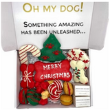 Christmas Dog Treats Gift Box