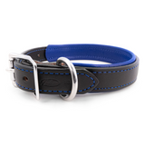 Padded Leather Collar - Burgundy and Blue