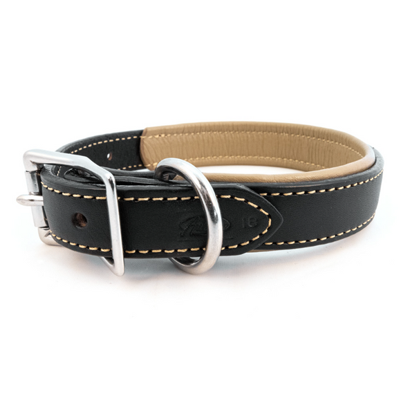Padded Leather Collar - Black and Tan
