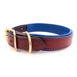 Padded Leather Collar - Black and Blue