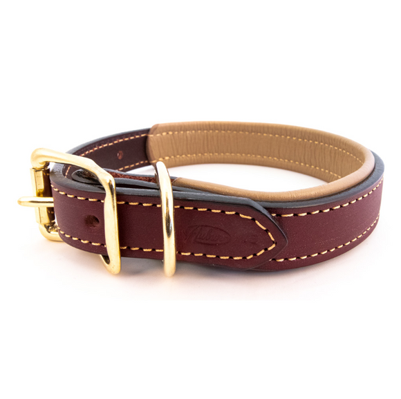 Padded Leather Collar - Burgundy and Tan