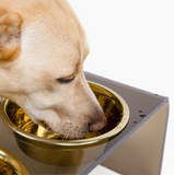 Bronze Single Bowl Pet Feeder | Options