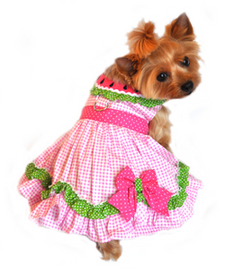 Best Dog Watermelon Harness Dress