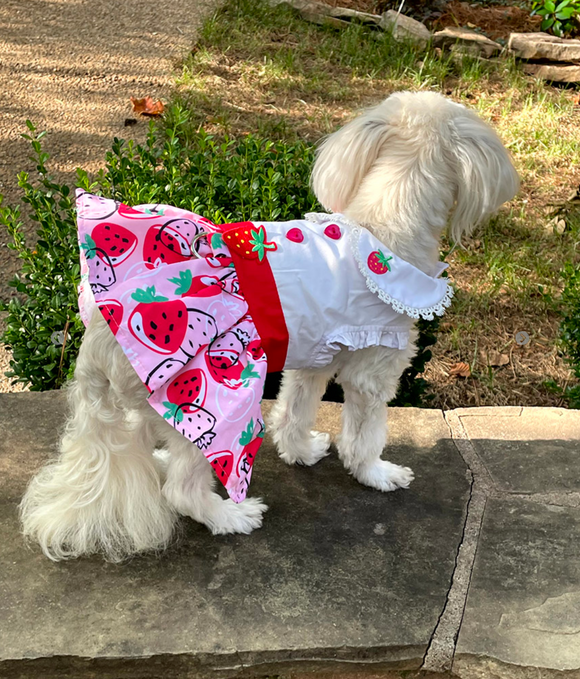 Dog Strawberry Picnic Dress with Matching Leash