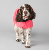 Visibility Dog Raincoat - Lite Hot Pink