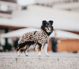 Visibility Dog Raincoat - Lite Leopard