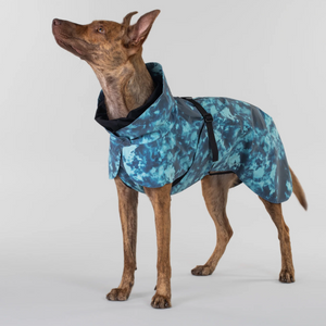 Visibility Dog Raincoat - Lite Petrol Dye