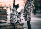 Recovery Raincoat Camo for Dogs