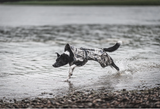 Recovery Raincoat Camo for Dogs