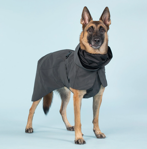 Visibility Raincoat Dark for Dogs