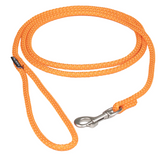 Visibility Rope Leash for Dogs - Emerald