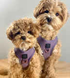 Purple Luxe Step-In Dog Harness by Le Pet Luxe