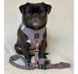Le Pet Luxe Purple Step-In Dog Harness