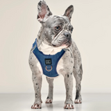  Pull Step-In Denim Harness For Dog | Le Pet Luxe