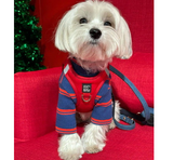 Whit Dog Red Harness | Le Pet Luxe