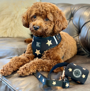 Rockstar Embroidered Adjustable Small Dog Harness