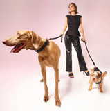 Dog Collar With Charm - Matte Black
