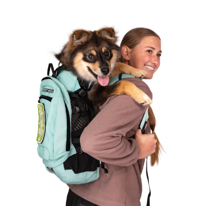 Plus 2 | Dog Carrier with Removable Storage - Summer Mint