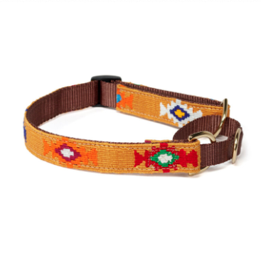 A tail we could wag Martingale Dog Collar