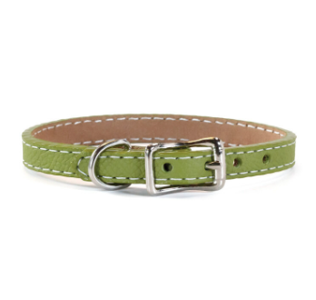 Tuscan Mini Leather Dog Collar - Green