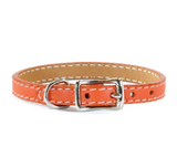 Tuscan Mini Leather Dog Collar - Turquoise