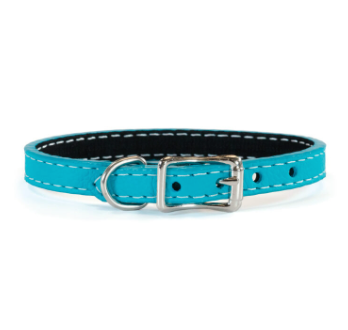 Tuscan Mini Leather Dog Collar - Turquoise