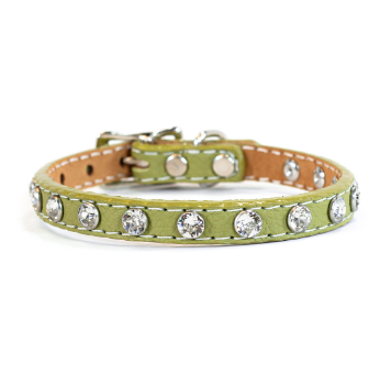 Tuscan Mini Leather Dog Collar in Green - Crystallized