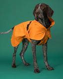 Recovery Raincoat Orange for Dogs