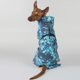 Visibility Dog Raincoat - Lite Petrol Dye