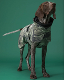 Recovery Raincoat Camo for Dogs