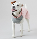 Recovery Winter Dog Shirt - Pink