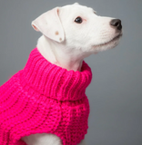 Knit Sweater Hot Pink for Dogs