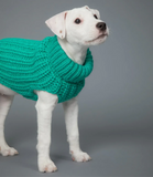 Knit Sweater Green for Dogs