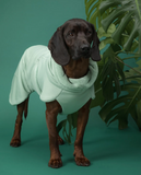 Drying Dog Coat 2Go - Sage