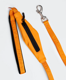 Visibility Dog Leash - Orange