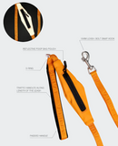 Visibility Dog Leash - Orange