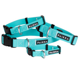 Glow Dog Collar - Aqua