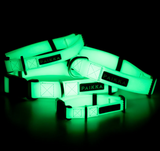 Glow Dog Collar - Glow