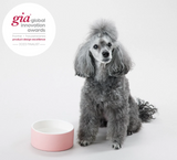 Naturally Cooling Dog Water Bowl - Pink