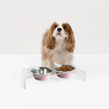 Clear Double Pet Bowl Feeder with 2 Tone Bowls | Options