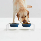 Clear Double Pet Bowl Feeder with 2 Tone Bowls | Options