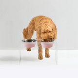 Tall Double Pet Bowl Feeder with 2 Tone Bowls | Options